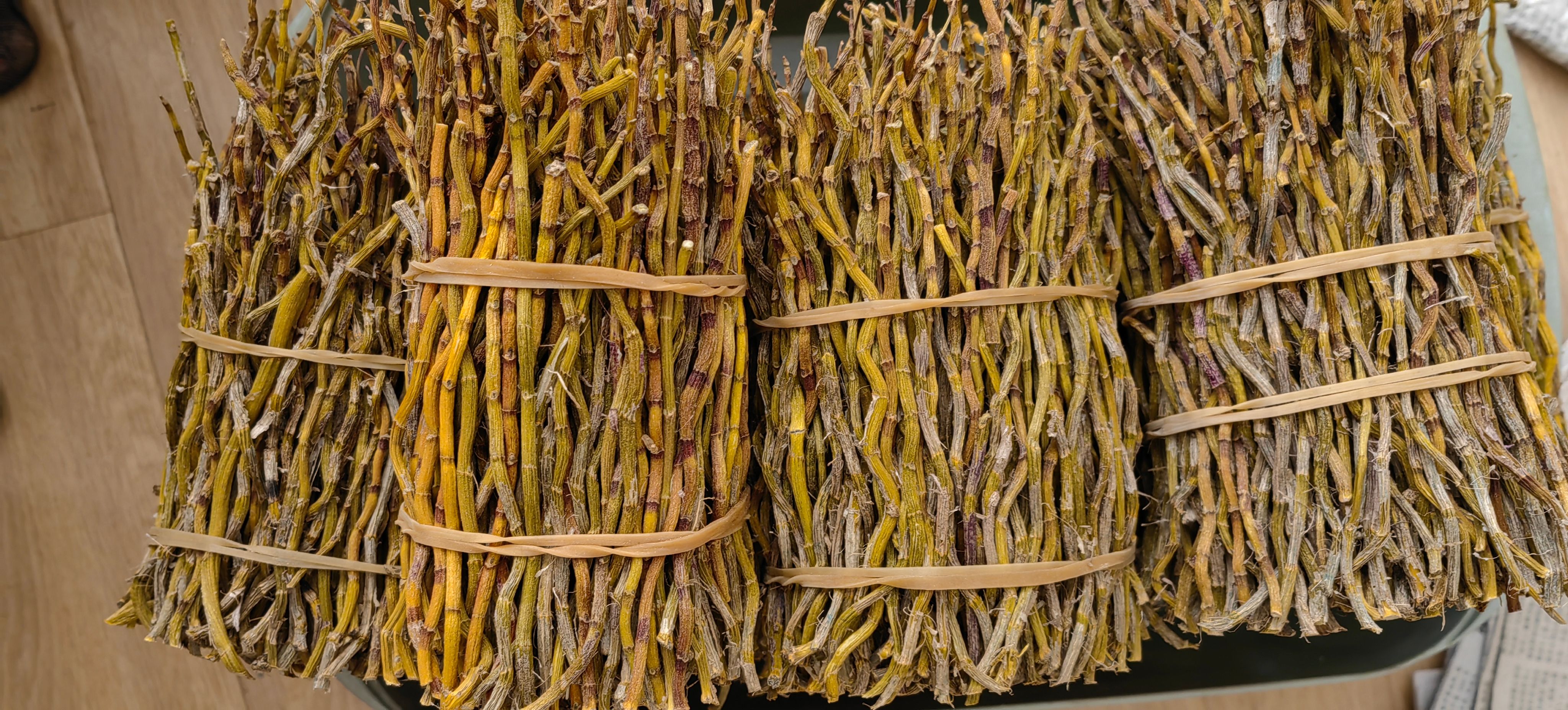 铁皮铁皮石斛寸条 烤条 牙牙条 自产自销  基地直发