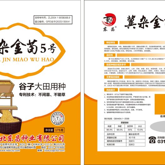 赤峰冀杂金苗5号[强][强]母本是黄金苗跟冀杂金苗1号