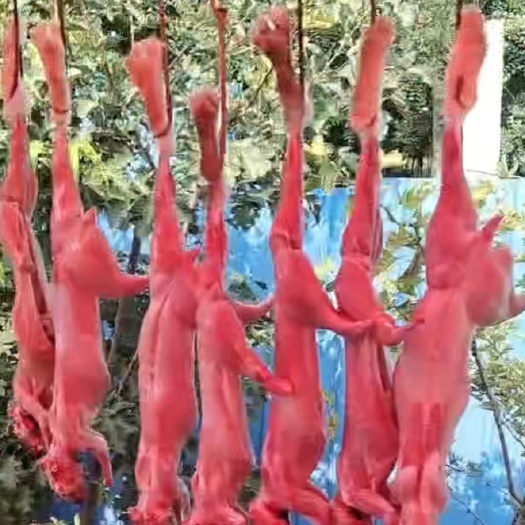 浙江哪里有卖兔肉的，卖兔子肉的地方在哪里？
