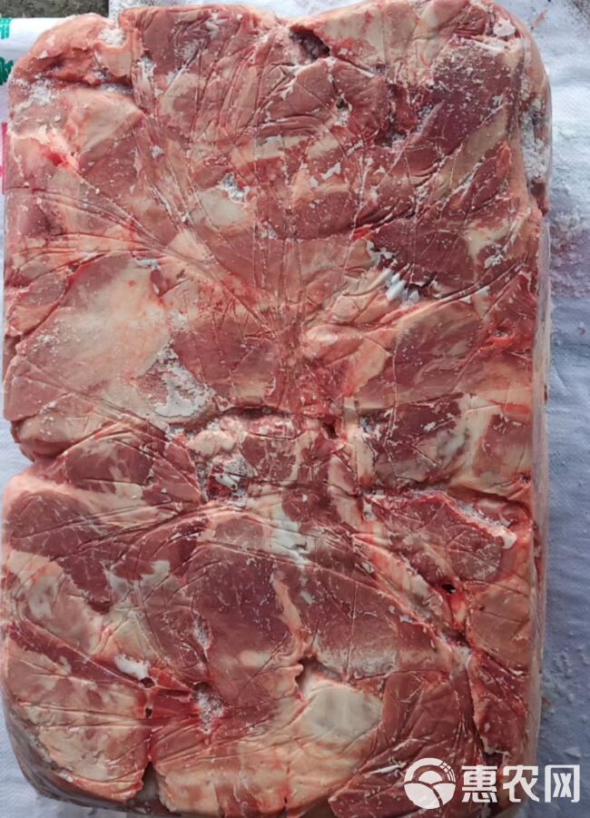 母猪后腿肉 前腿肉 瘦肉 精肉 四号肉母猪瘦肉 冻品猪副产品