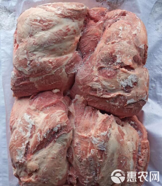 母猪后腿肉 前腿肉 瘦肉 精肉 四号肉母猪瘦肉 冻品猪副产品