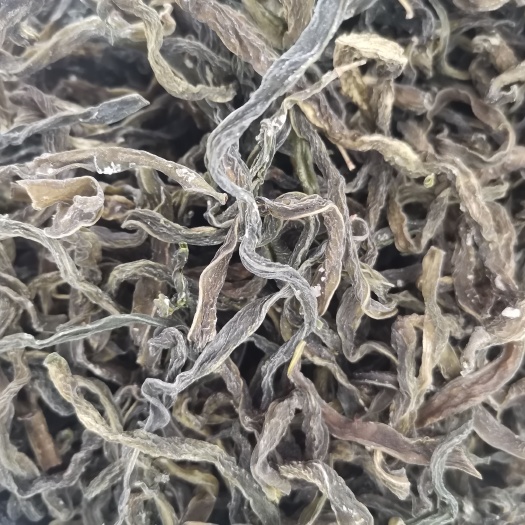 精品四季豆一级的。有需要的老板请惠农网下单
