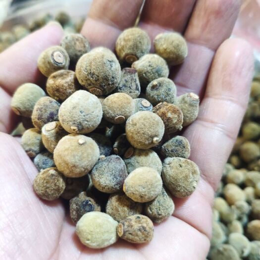 化州市化橘红精选胎果