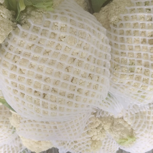 连江县白花花菜2－3斤，白梗白面，场地直销