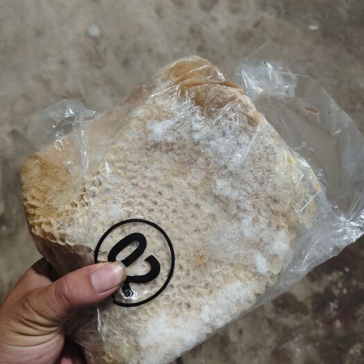 长沙02金钱肚