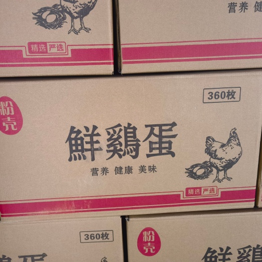 北京粉壳鲜鸡蛋，
