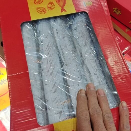 唐山小天窗带鱼