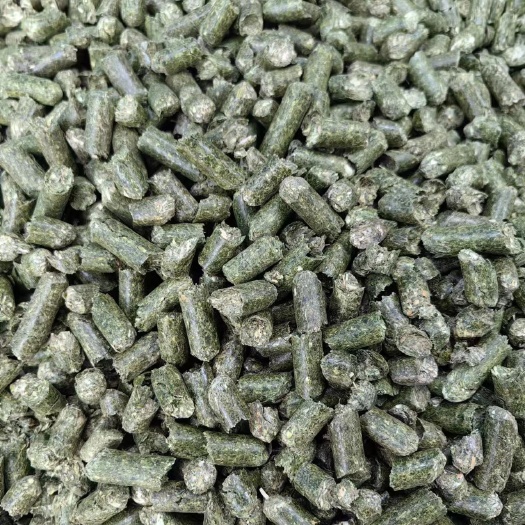 甘肃优质苜蓿草颗粒批发生产厂家直销产品质量很好苜蓿草颗粒直销