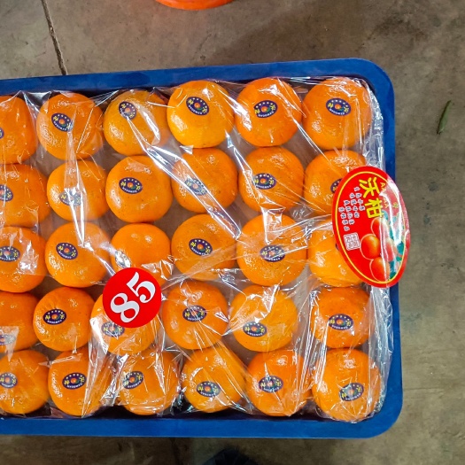 广西沃柑大量供货，质量不错，有想法的联系我