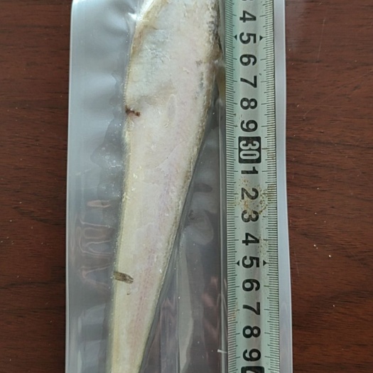 盘锦河刀 纯 单条真空包装 刀鱼 凤尾鱼批发零售