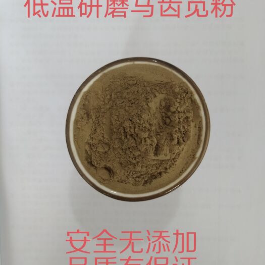 泰安马齿苋粉野生马齿苋干马齿苋现磨超细粉可做面膜粉