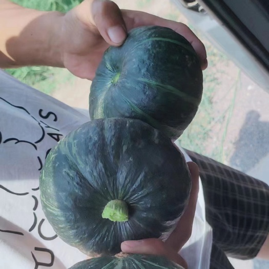 忻州精品贝贝大量上市