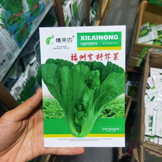 西安芥菜种子福州宽杆芥菜种子春夏季四季种植阳台庭院农家蔬菜种子