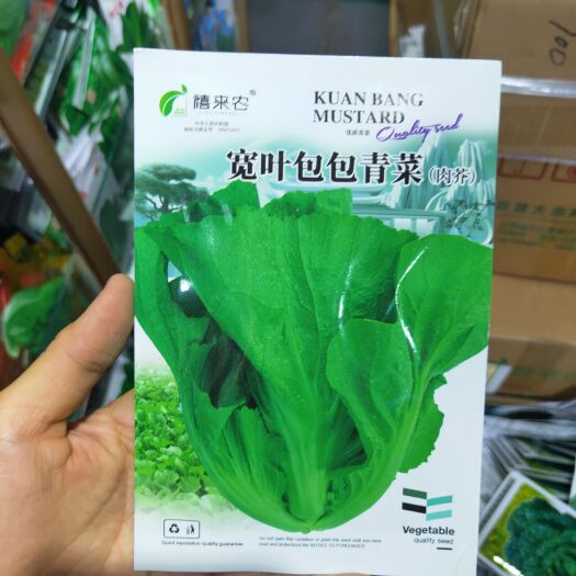 西安芥菜种子宽杆芥菜种子 大坪埔大肉包心芥菜种子耐热耐湿耐寒
