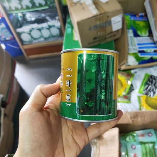 黄瓜种子油亮瓜王黄瓜种子一叶一瓜绿皮绿肉密刺黄瓜种子