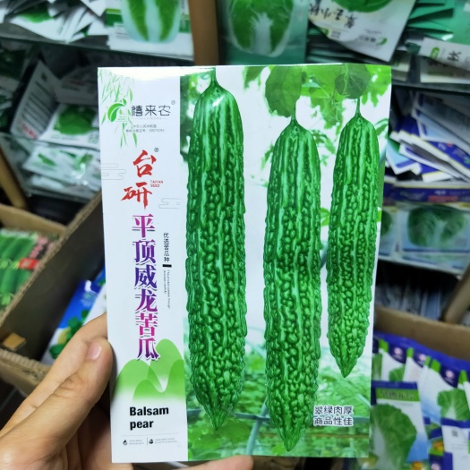 绿苦瓜种子平顶威龙绿苦瓜种子果肉厚果腔小单瓜重约500克左右
