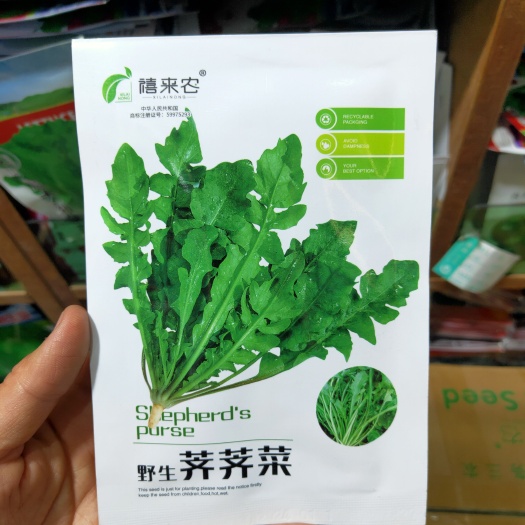 荠荠菜种子农家春播大叶春野菜种籽食用盆栽荠菜种孑青菜种籽