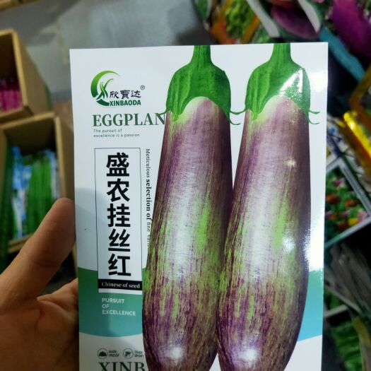 西安茄子种子挂丝红长茄种子农家庭院种植蔬菜种子