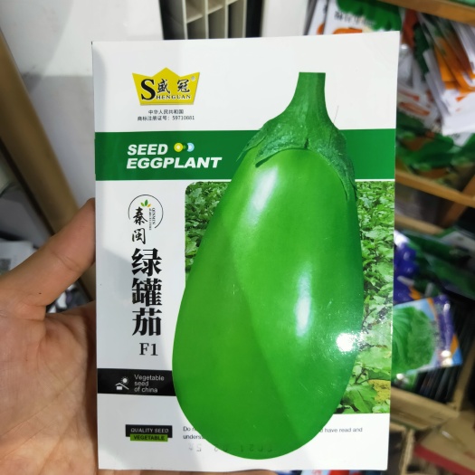 西安绿罐茄种子茄子种籽四季蔬菜种子青茄子绿皮春季秋蔬菜种子