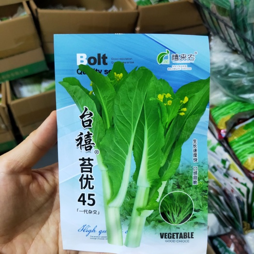 白菜苔种子早熟口感脆嫩