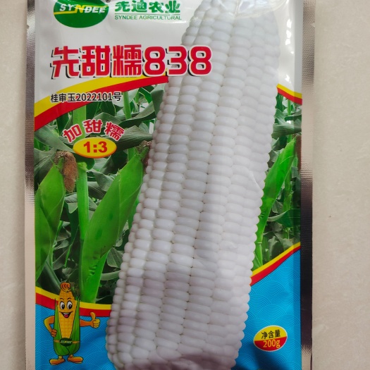 华容县先迪农业 先甜糯838加甜糯 甜糯玉米种春秋播 口感好