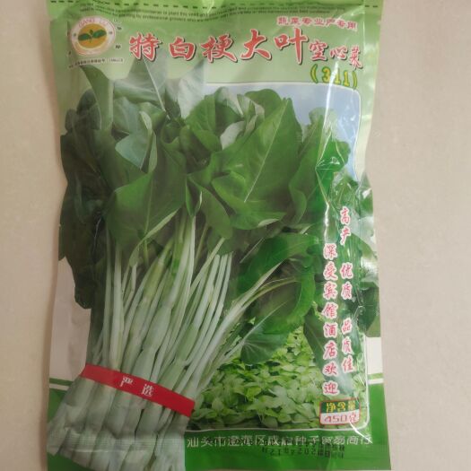 华容县特白梗大叶空心菜种子 四季可播种 阳台盆栽 产量高 抗病强