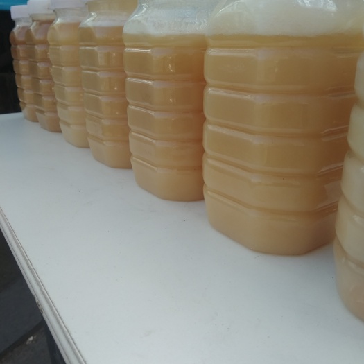 沈阳土蜂蜜  2年以上 塑料瓶装
