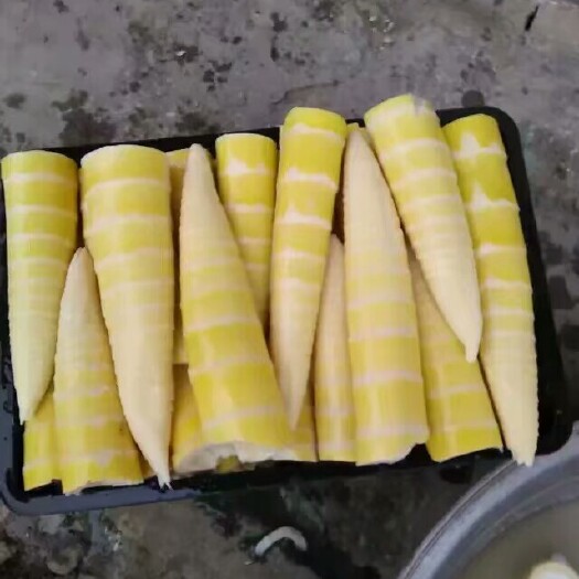 大竹县春笋笋干小笋新鲜竹笋毛竹笋现挖无老根笋斑竹笋盐笋笋干时令蔬菜