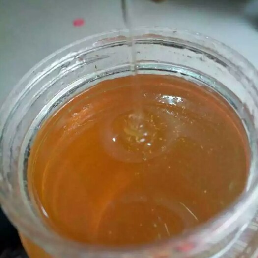 阳江荔枝蜜 玻璃瓶装  2年以上 