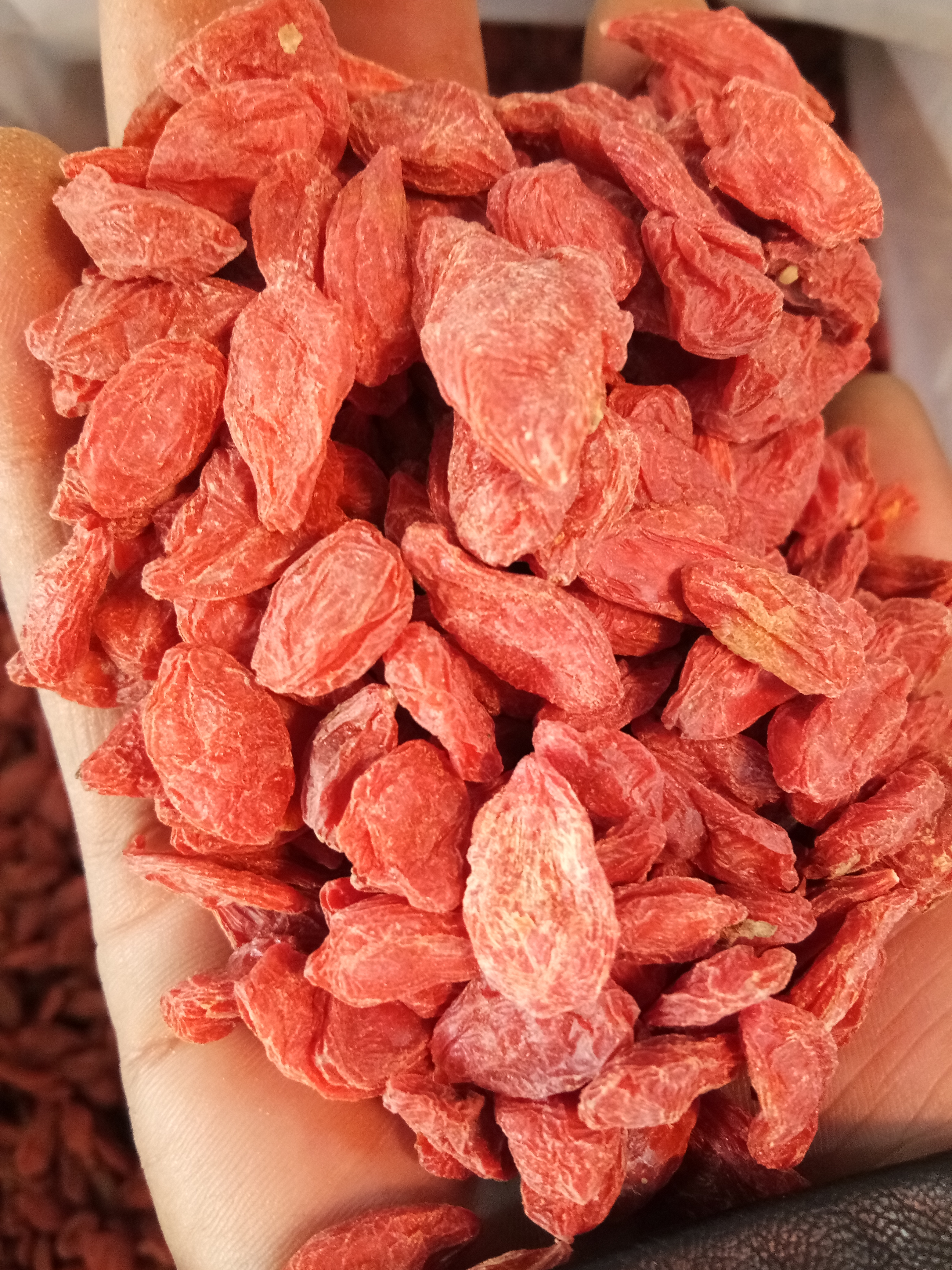 靖远枸杞 特级