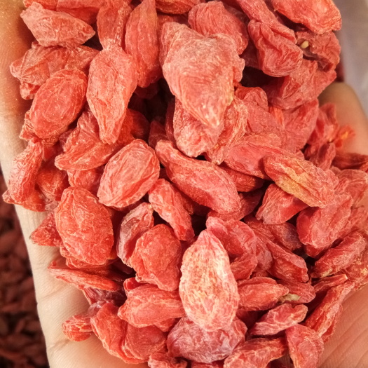 广州靖远枸杞 特级