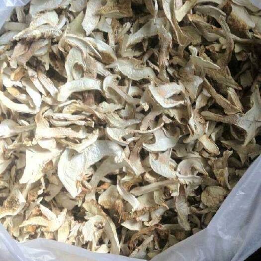 方城县美味牛肝菌 3.0% 一级