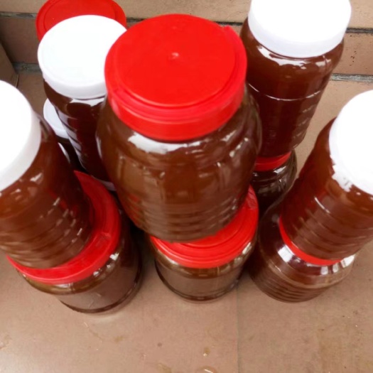 绵阳野蜂蜜  蜂蜜 塑料瓶装  2年以上