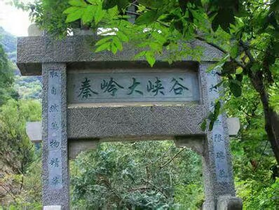 土蜂蜜 塑料瓶装 98% 2年以上 