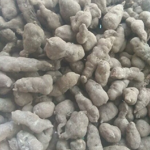 兴仁市三叶崖爬藤苗  三叶青块根干货 有统货有选货 1斤起发货 量大优惠