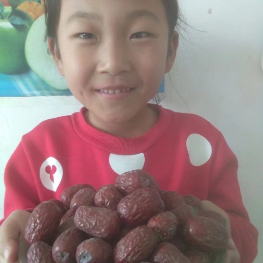 若羌县若羌红枣  且末红枣特级