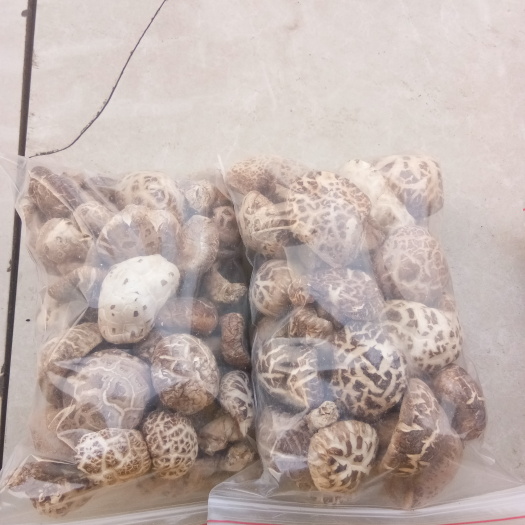 宁强县花菇干 箱装 1年