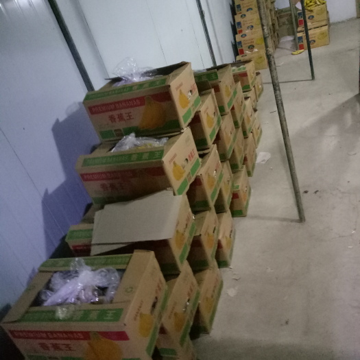 全州县老挝香蕉 七成熟 25.0斤