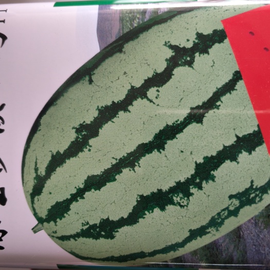 沭阳县沙漠一号种