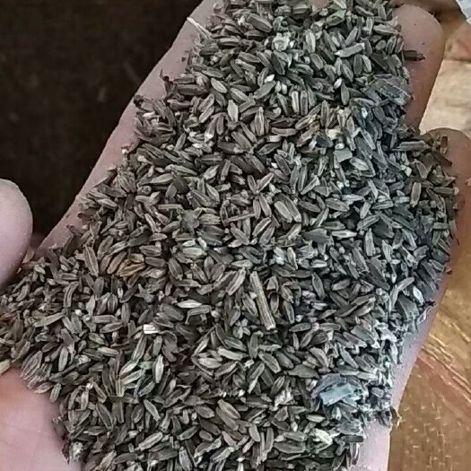 盐源县续断
