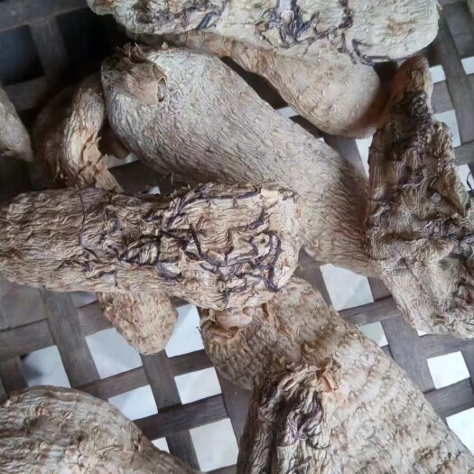 剑阁县天麻