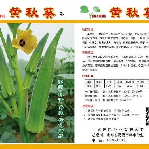  黄秋葵种子