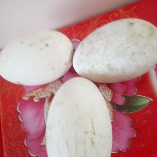 通化县土鹅蛋 散装 食用