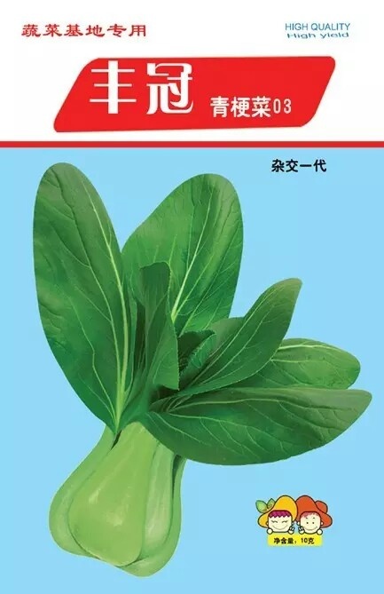 高密市青梗菜种子 丰冠青梗菜