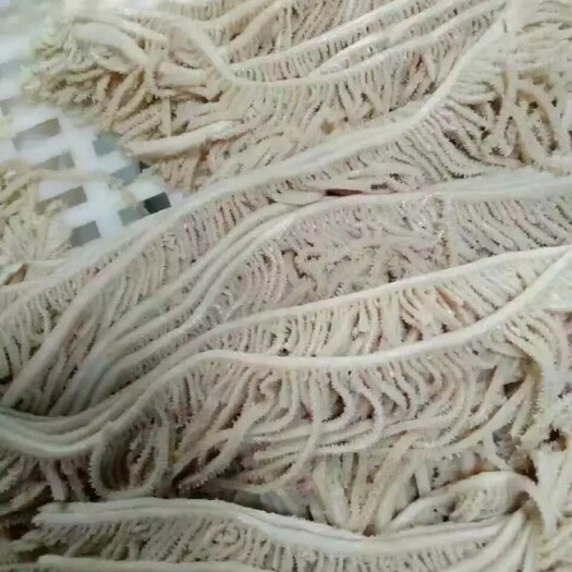 成都牛千层肚，煮千