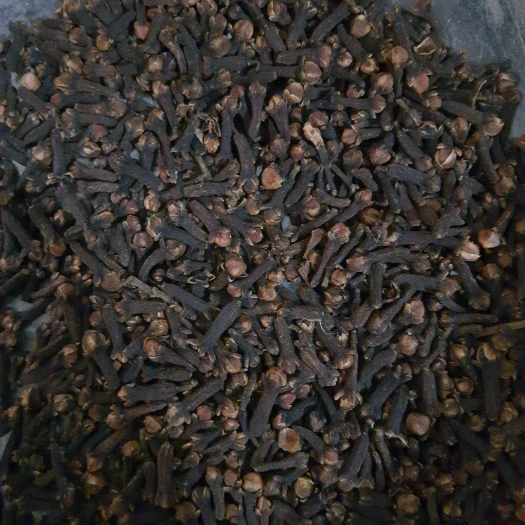 重庆市干丁香