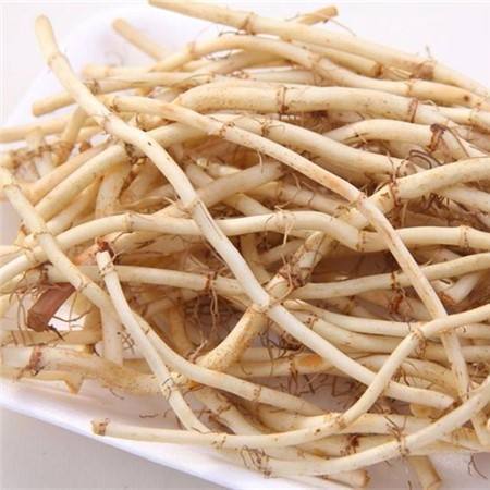 佛山鱼腥草根