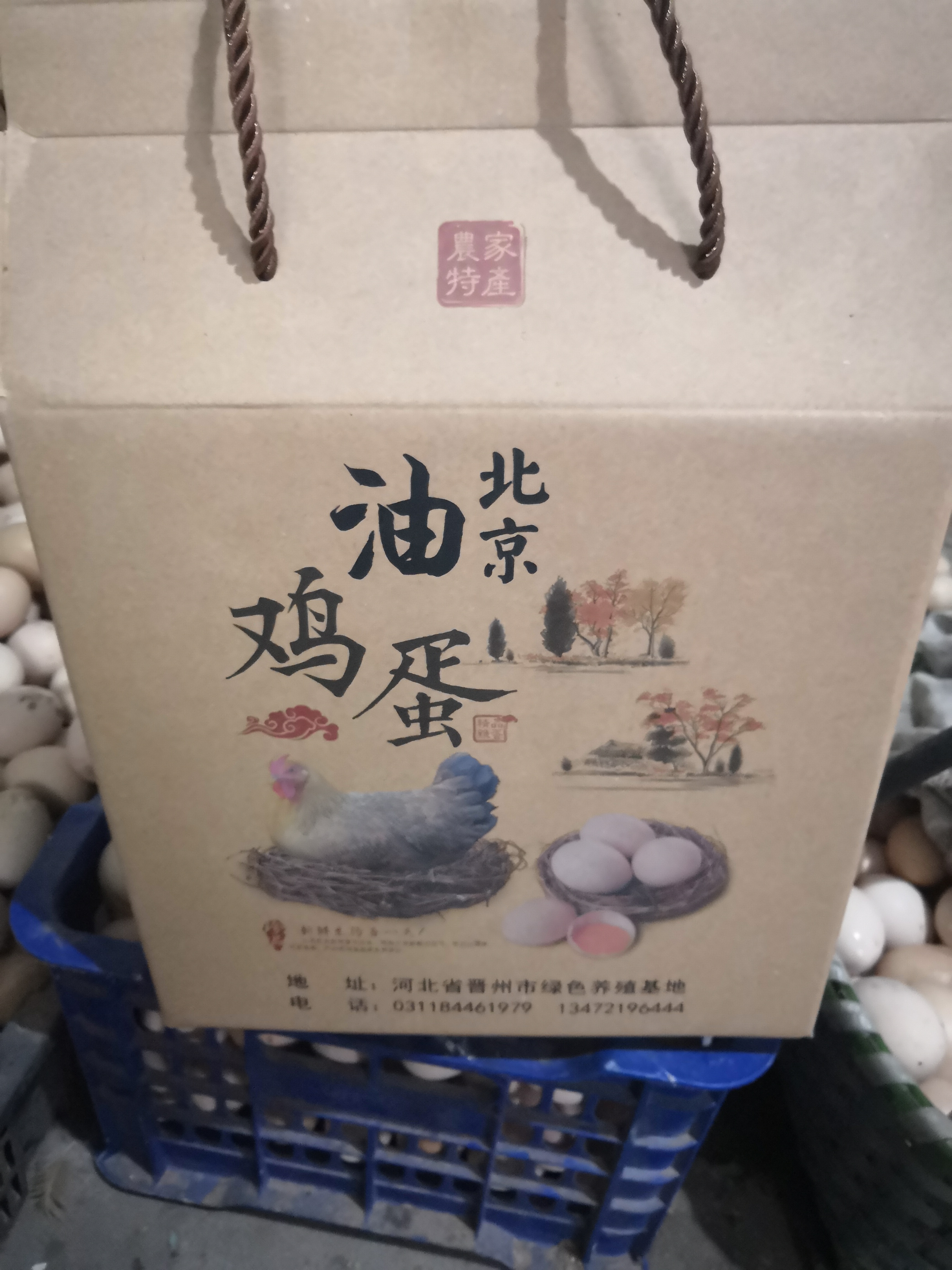 北京油鸡 母 10斤以上 