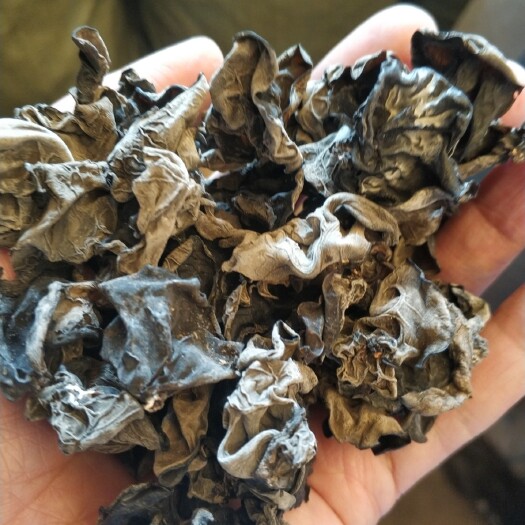 武汉黑木耳 干木耳 一级 