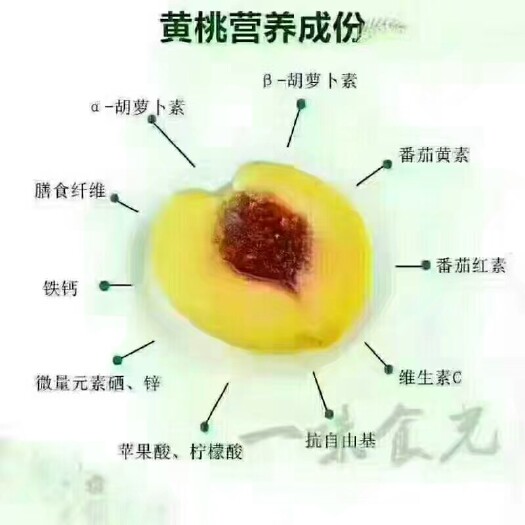 桂东县桂东高山黄桃 45mm以上 3 - 4两 